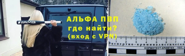 гидра Белокуриха