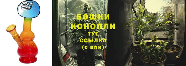 ГАЛЛЮЦИНОГЕННЫЕ ГРИБЫ Балабаново